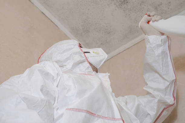 Best Mold Removal Process  in Thorofare, NJ