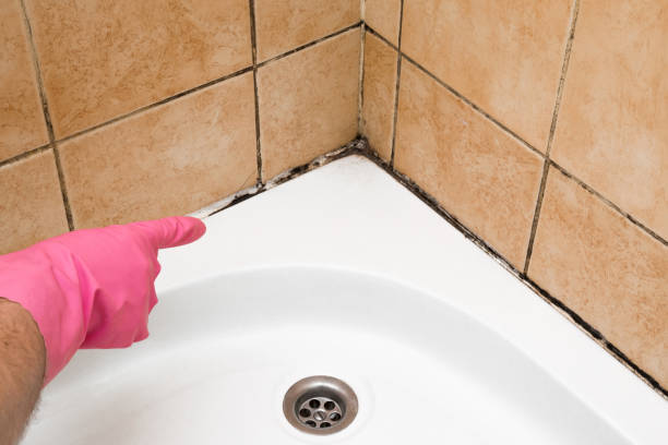 Best Affordable Mold Removal  in Thorofare, NJ